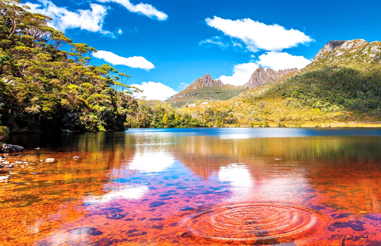 Accommodation: Cradle Mountain - 1 Night