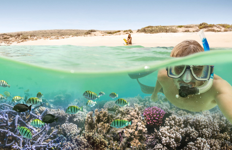 Ningaloo Reef Snorkle