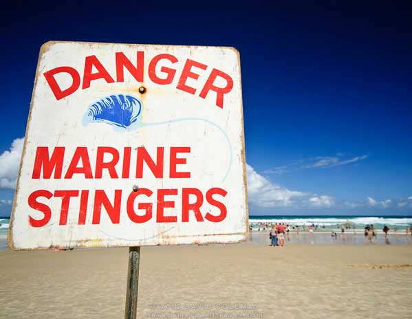 Stinger Warning Sign