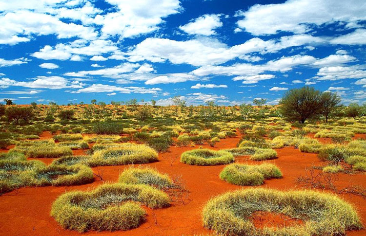 little sandy desert australia