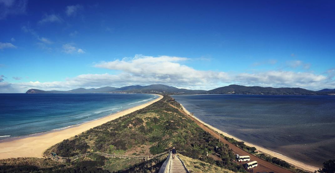 Neck Lookout Bruny Island