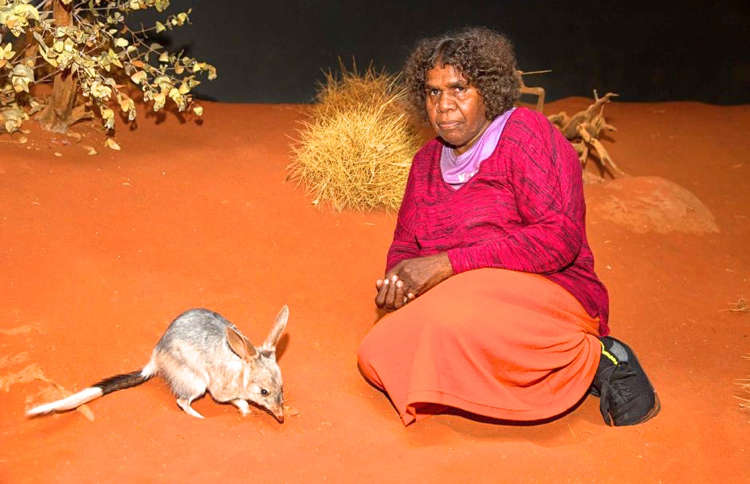 Alice Springs Desert Park wildlife