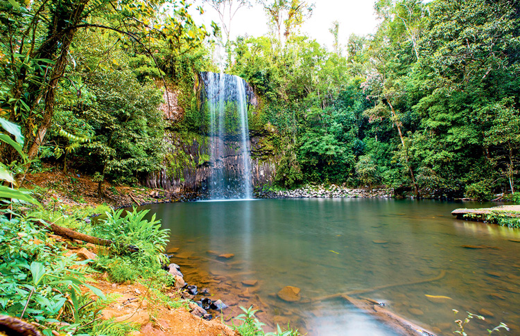 Millaa Millaa Falls