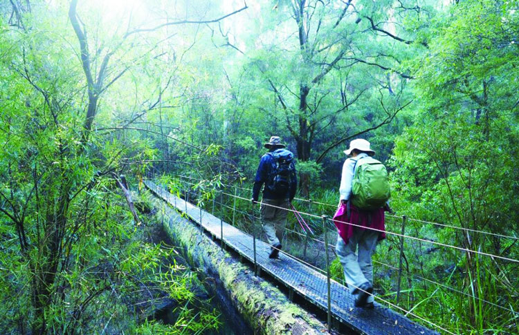 Bibbulmun Track