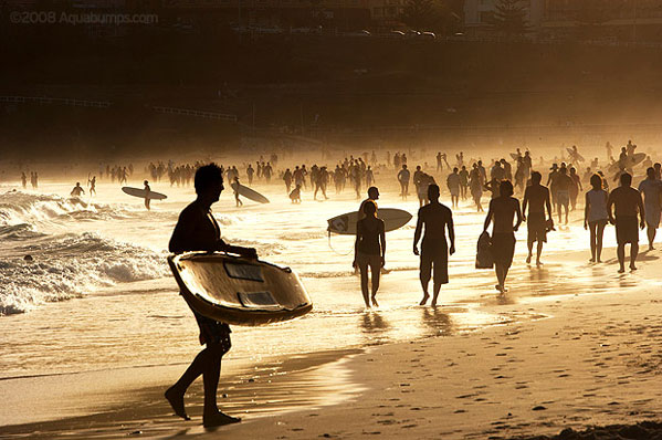 Surfing Crowds