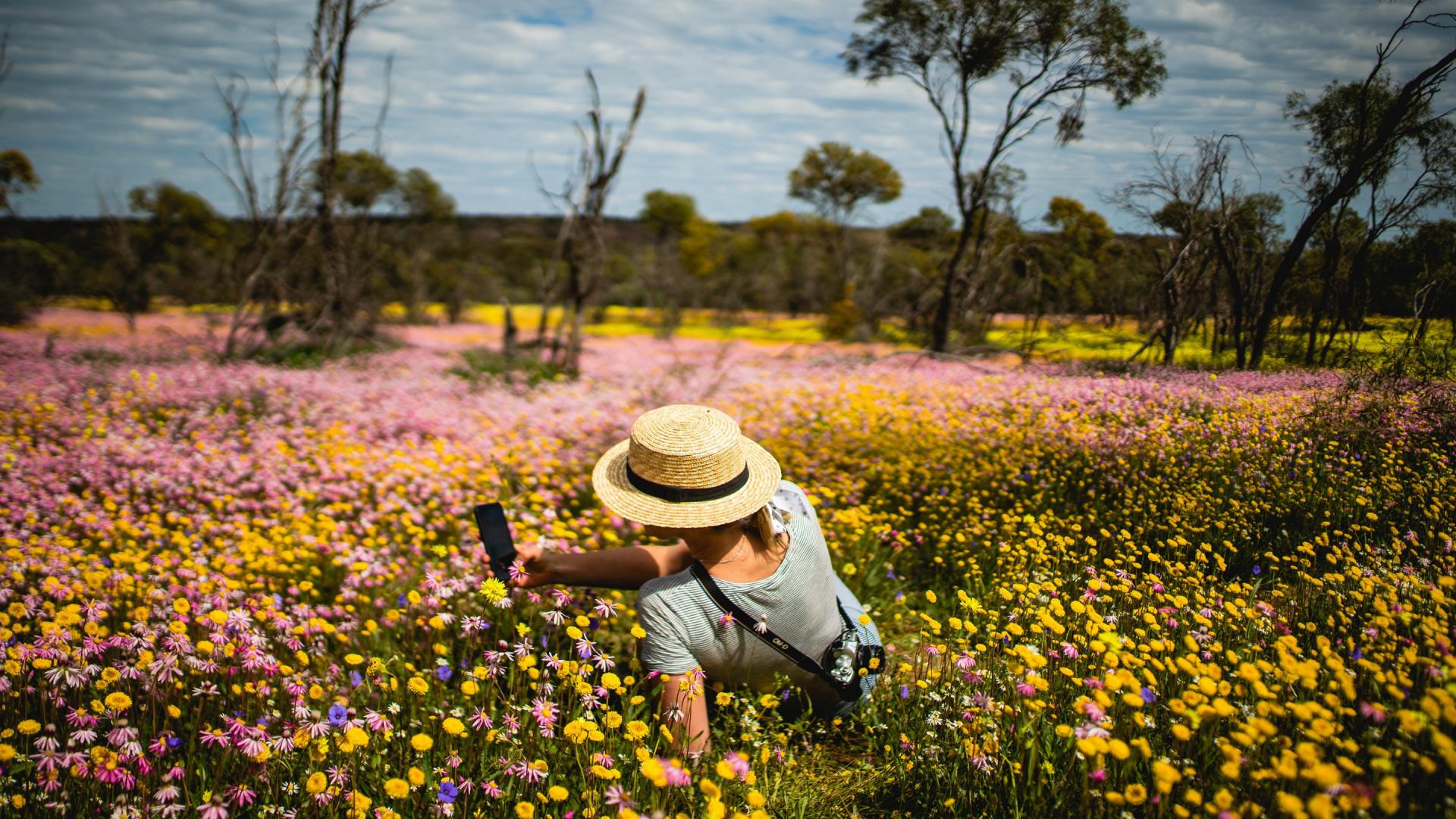 Springtime in beautiful Western Australia