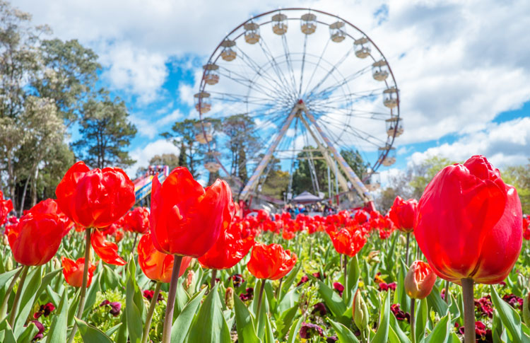 Spring Australia