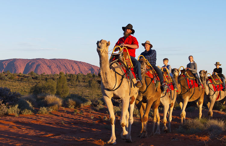 Camel Ride Around Uluru
