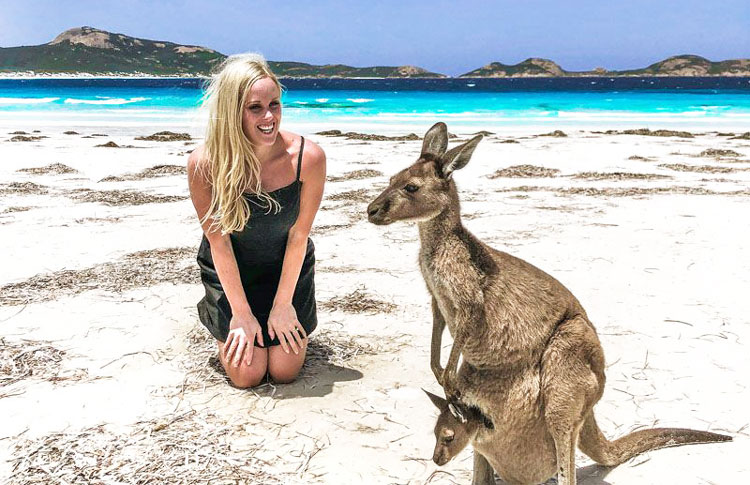 Where to see Kangaroos in Australia | Best places to view Kangaroos