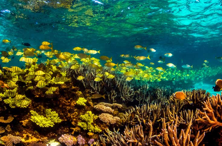 Ningaloo Reef