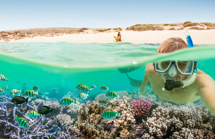 Ningaloo Reef Snorkling