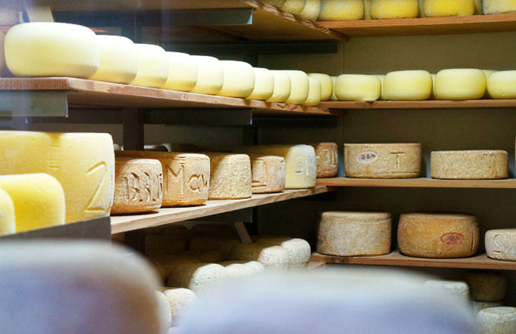 Bruny Island Cheese