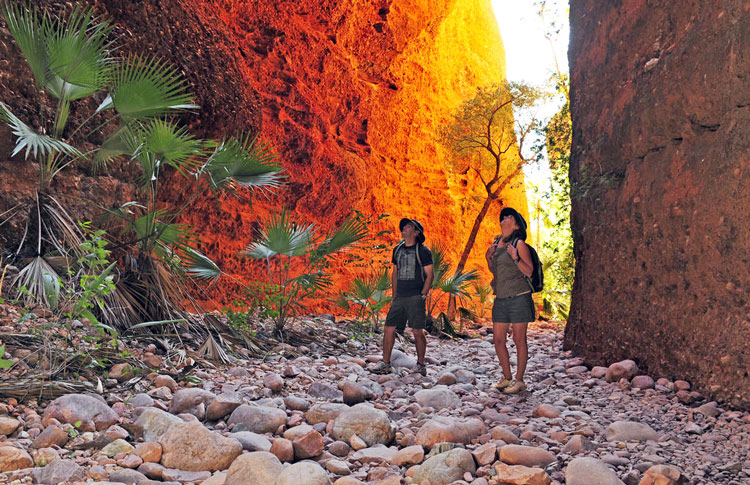 Explore the Bungle Bungles by foot or by scenic flight