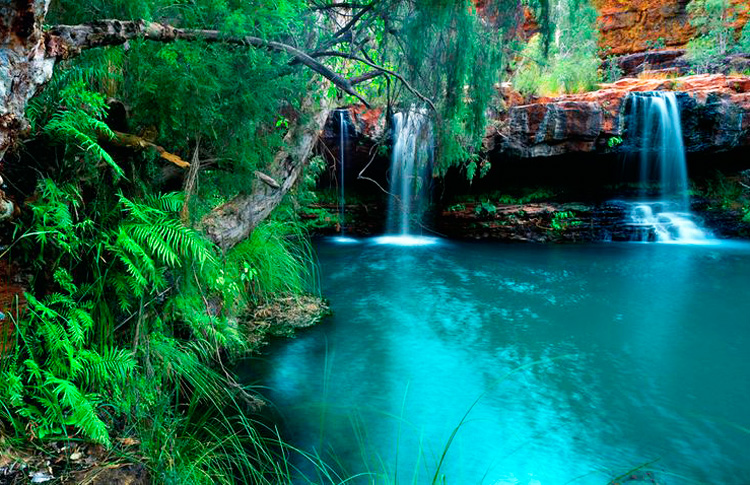 Karijini National Park Fern Pool