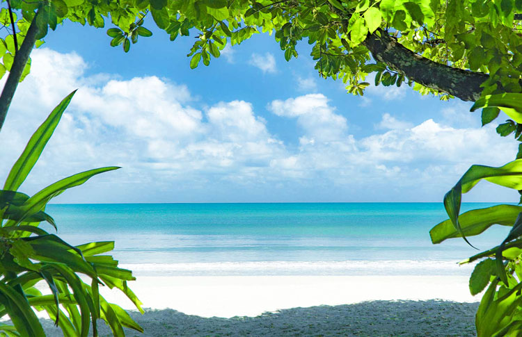 cape tribulation