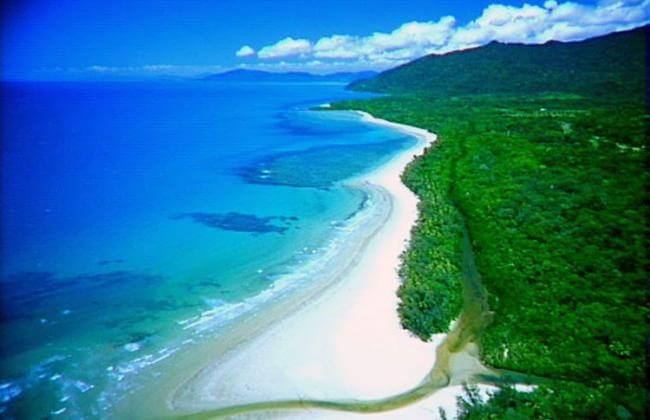 Cape Tribulation