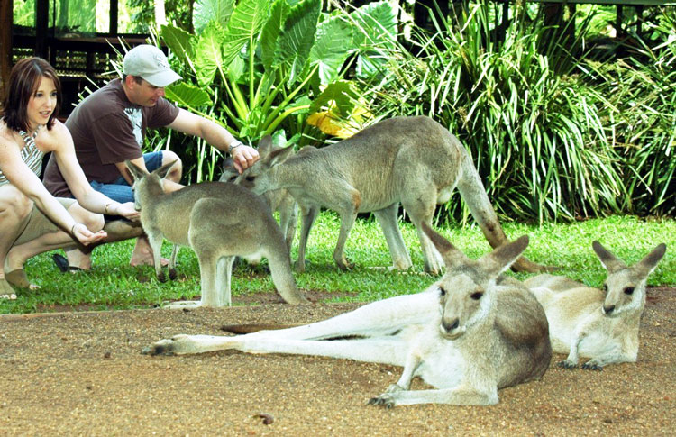 Wildlife Park