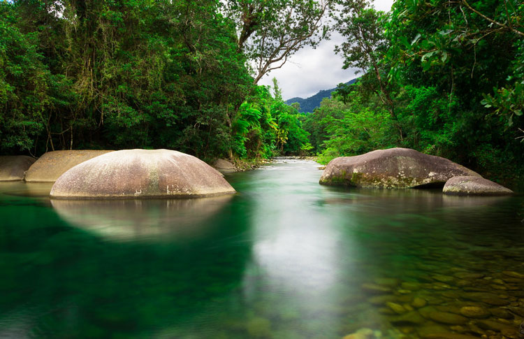Free day in the Atherton Tablelands