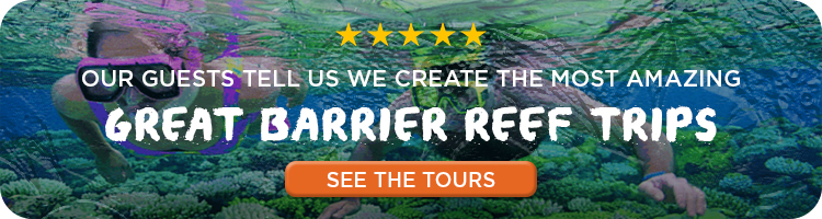 First Light Travel Great Barrier Reef Tours