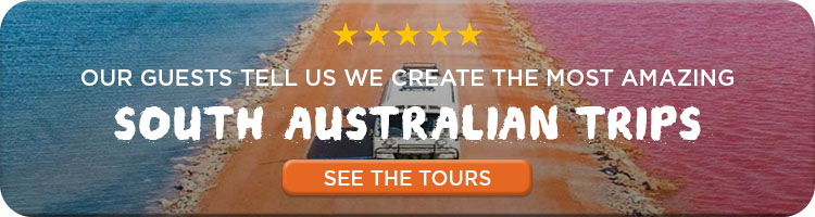 First Light Travel South Australia Itineraries