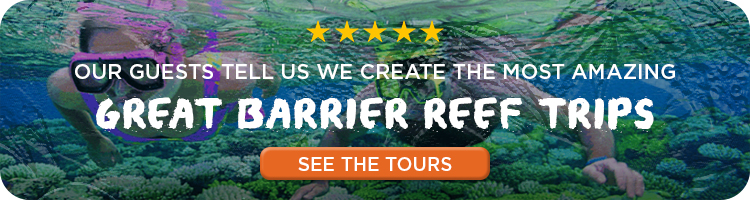 Great Barrier Reef Tours