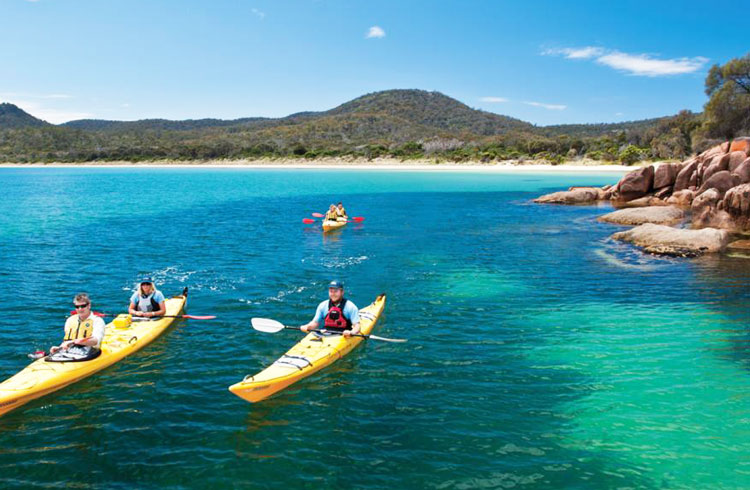 Freycinet
