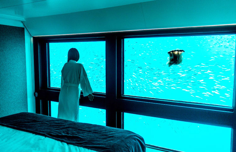 underwater reef suites