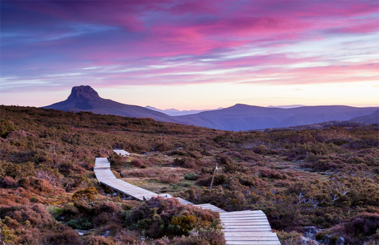 The Overland Track Cradle Mountain