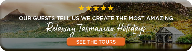 The beast Tasmanian Self Drive Itineraries 