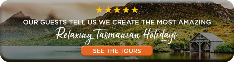 Tasmanian Relaxing Road Trip