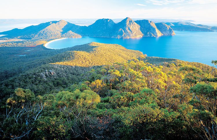 Freycinet