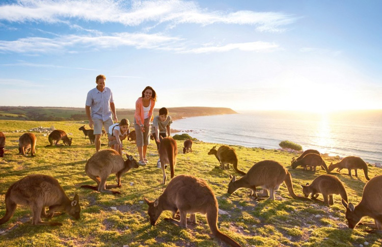 kangaroo Island