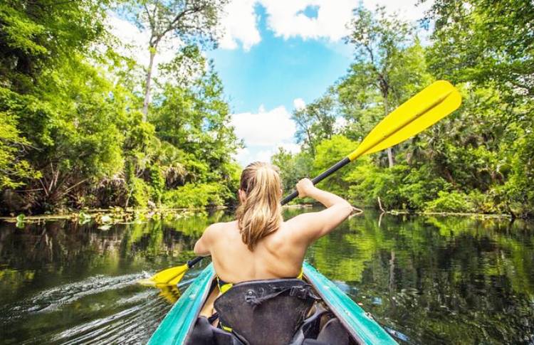 Cruise 'n' Canoe - Everglades Noosa