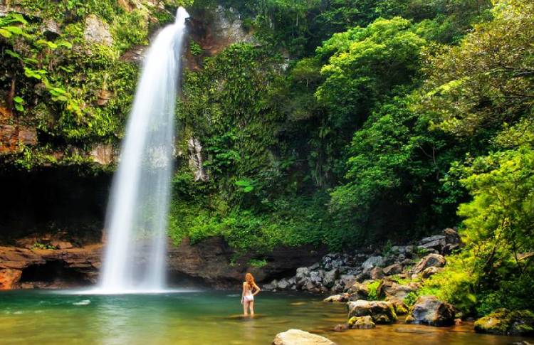 Taveuni Waterfalls