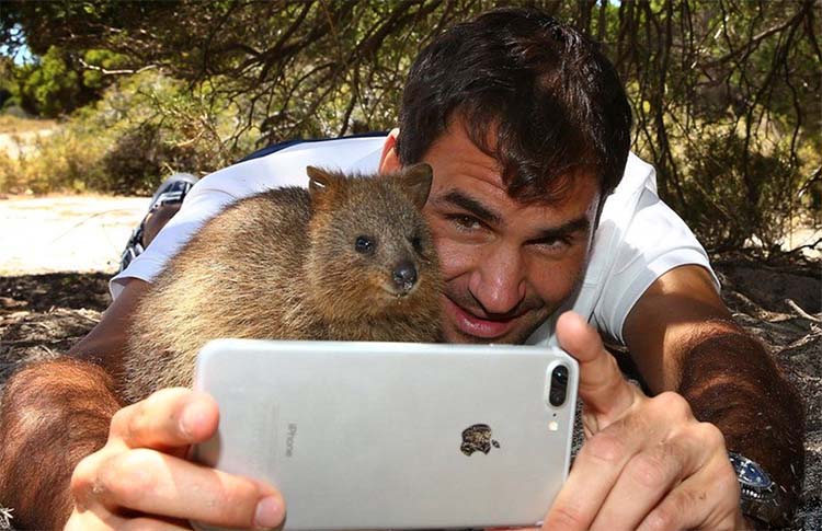 Roger Federer selfie with Quokka