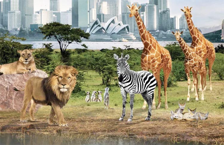 Taronga Zoo