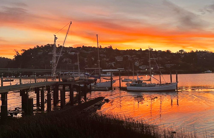 Watch the sunset over the Tamar river at Hallams Waterfront restaurant