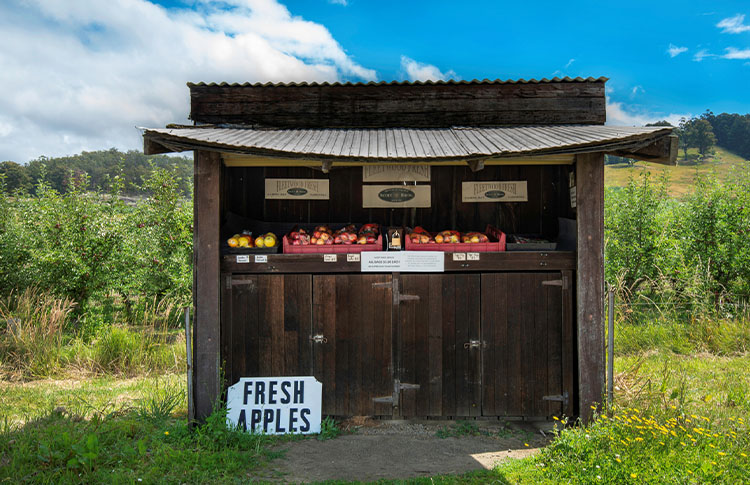 Huon Valley Apples