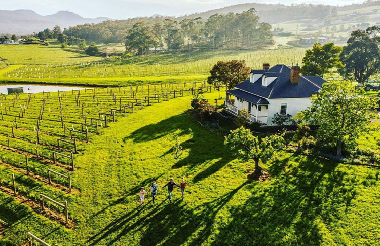 Kate Hill Wines