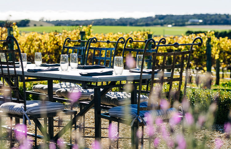 dine amongst the vines at Ghost Rock Vineyard