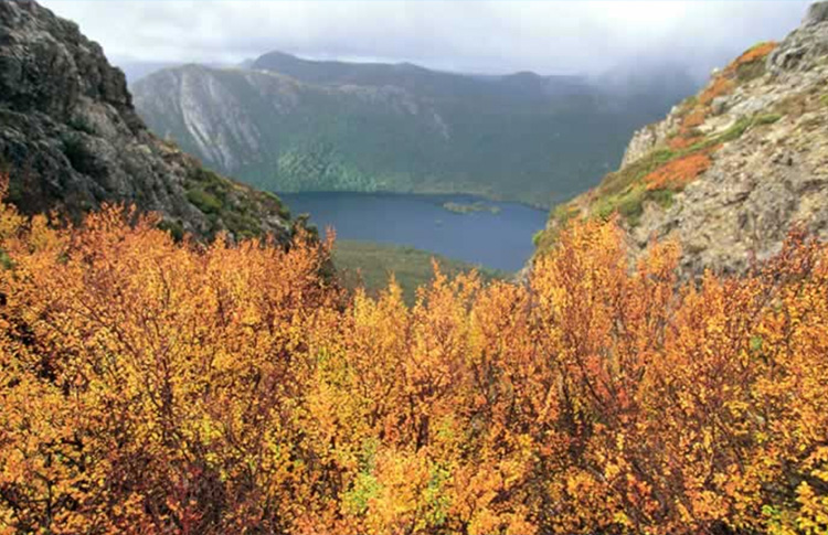Tasmania Fargus changing of the seasons