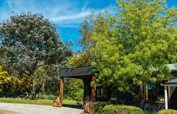 Truffledore Farm tours and truffle hunts