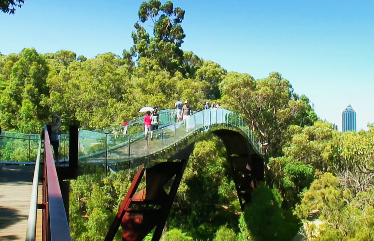Kings Park in Perth is a great place to visit in July