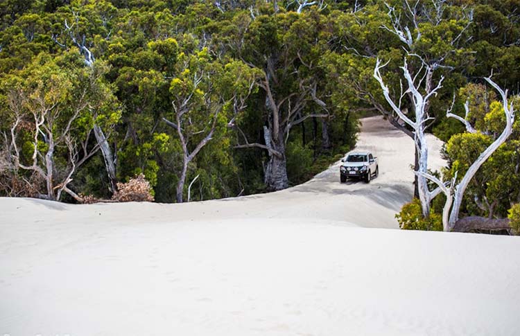 Enjoy magnificent views of the lake and nearby Yeagarup dunes from the boardwalk