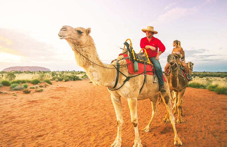 Uluru by camel ride