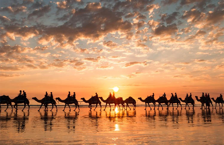 Camels at sunset on Cable Beach