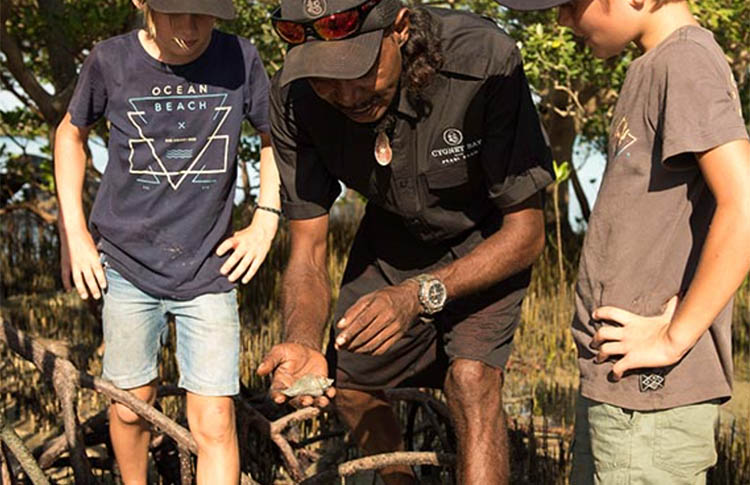 Cygnet Farm Oyster Tour on Dampier Peninsula