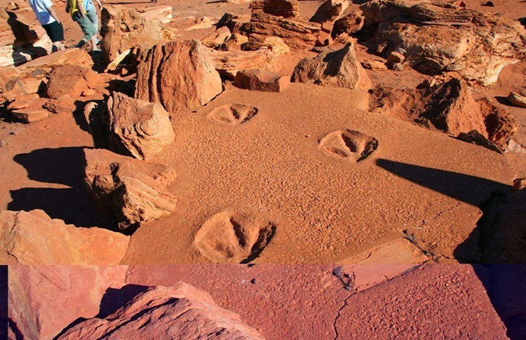 Gantheaume Point dinosaur footprints