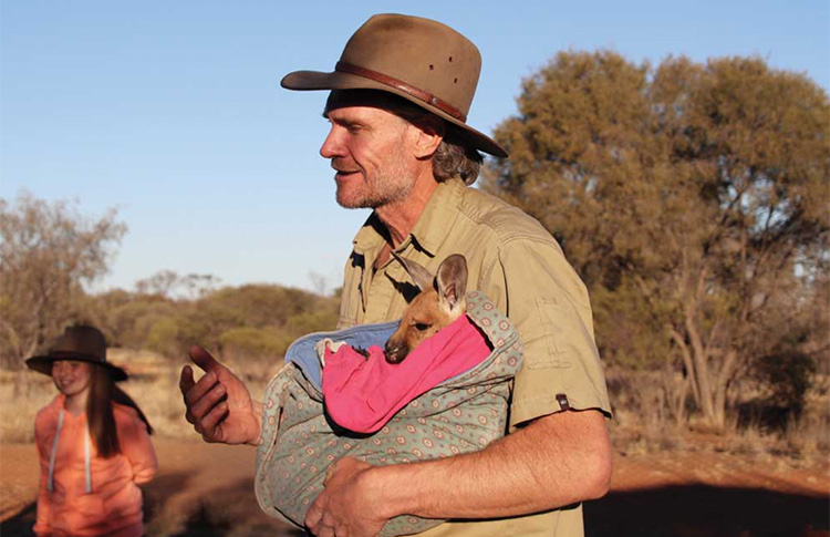 Kangaroo Sanctuary at Alice Springs