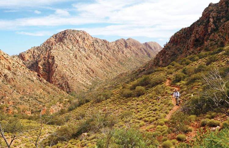 Larapinta trail